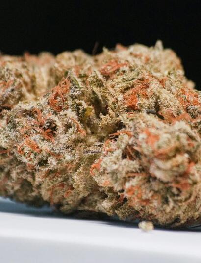 CBD może chronić mózg