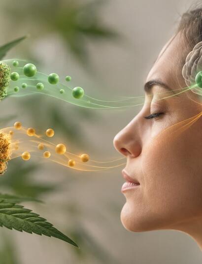 ilustración de mujer oliendo flores de cannabis 