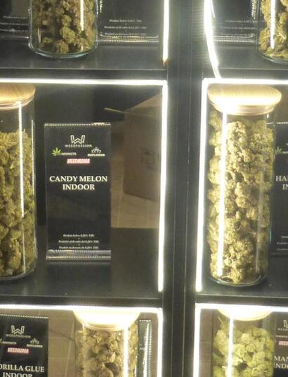 Une pétition contre les nouvelles taxes sur le CBD