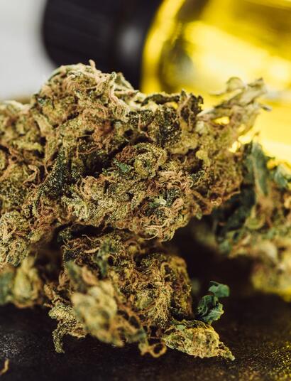 chunks of weed next to a bottle with oil. 