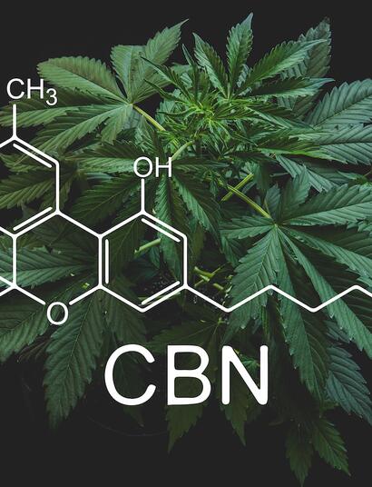 Le CBN est-il le nouveau cannnabinoïde tendance ?