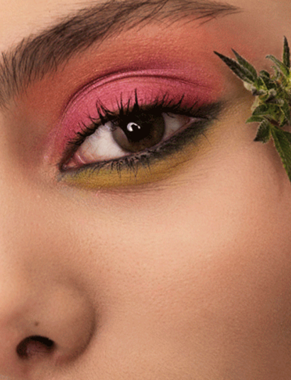 Herbarium: el lado bello del cannabis