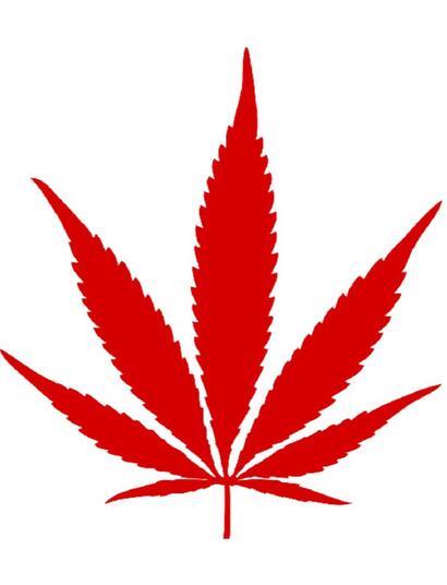 Canada : prés de 80 % du cannabis est acheté légalement