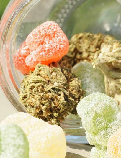 Cannabis edibles pose unique risks due to delayed onset and high THC concentrations. Read our analysis on mental health, potency, and safe practise
