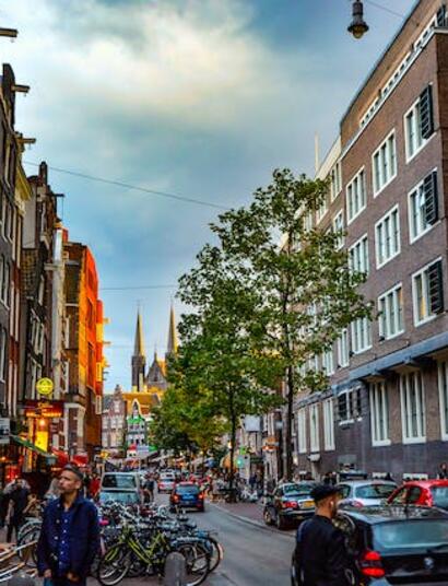 Netherlands Cannabis Trial Begins