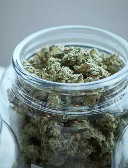Rund 65.000 Patienten werden die Erstattungen für Cannabis-Blüten aus der gesetzlichen Krankenversicherung gestrichen.
