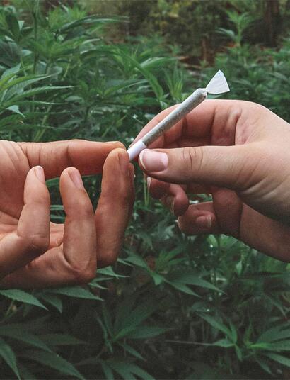 Trotz Teillegalisierung durch das CanG sinkt der Cannabiskonsum bei Jugendlichen in auf den niedrigsten Stand seit 2002. 