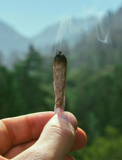 Wie viel THC ist zu viel? Neue Studie definiert klare Grenzwerte für riskanten Konsum