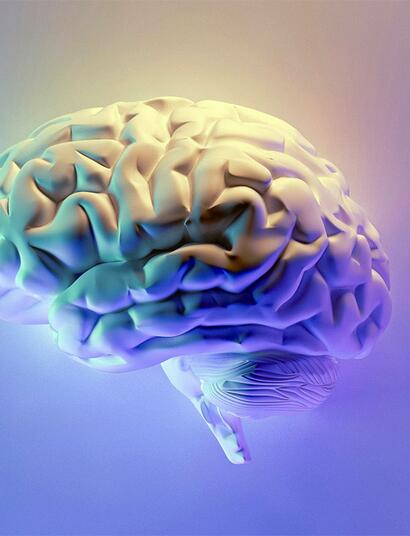 Studie zeigt einen deutlicher Rückgang der Anfallshäufigkeit bei Epilepsie nach der Einnahme medizinischer Cannabisprodukte.