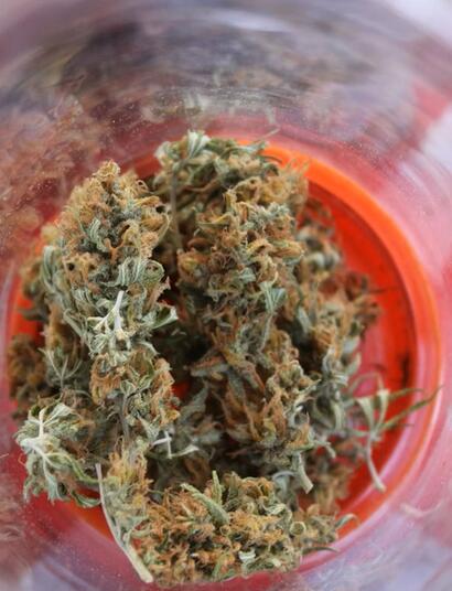 Svizzera, canapa, associazione