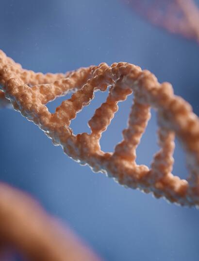 Cannabis use and epigenetics