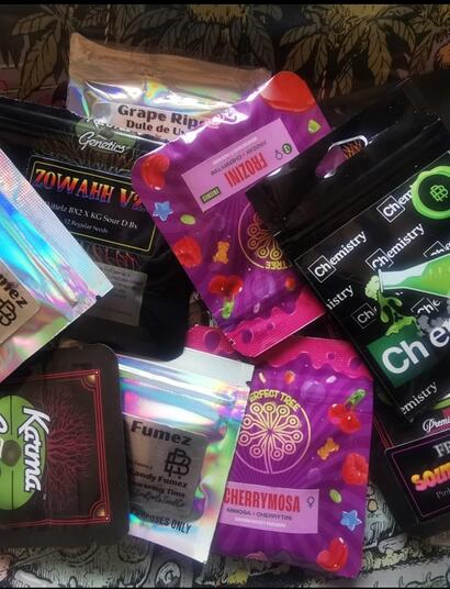 Cannabis-Samen: Wachsender Markt trotz rechtlicher Grauzone?