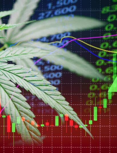 Cannabis Business