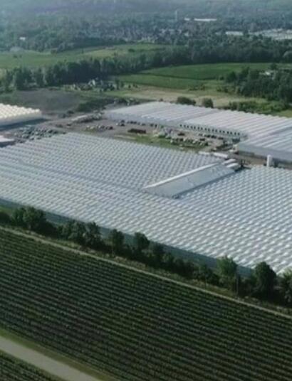 Canada : l’entreprise Canopy Growth en difficulté