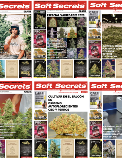 Mejores-artículos-del-periódico-Soft-Secrets-2023