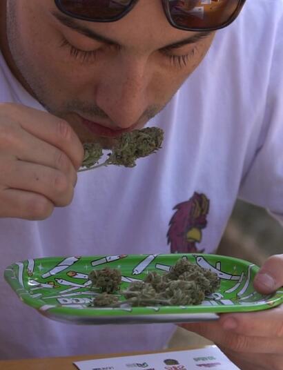 Vuelve la Cata Copa de Cultivadores Cannábicxs (C4), 2023 en Argentina.