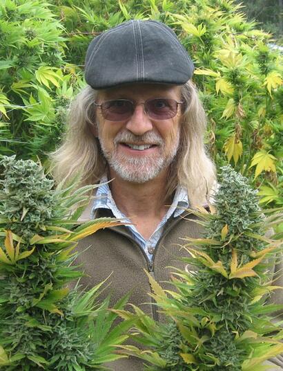 Cultiver un jardin cannabique sans stress pur vos plantes