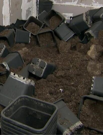 Télévision : des experts du ménage nettoient une plantation en indoor