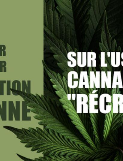 Faut-il participer à la consultation citoyenne sur le cannabis récréatif ?