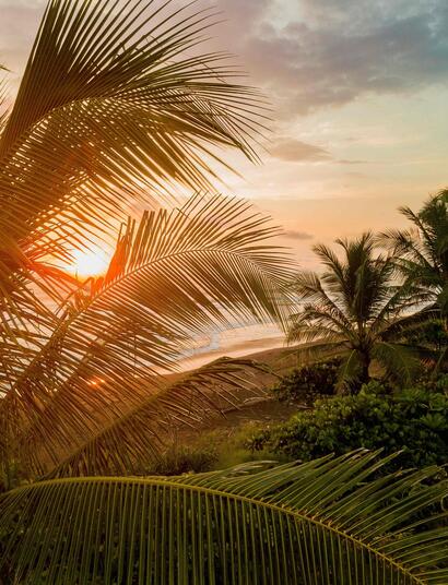 This export is significant not only because it marks the first transaction of its kind in Costa Rica's history