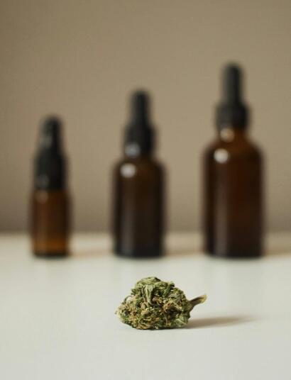 CBD could be a promising candidate for further research aimed at developing new strategies to combat bacterial infections.