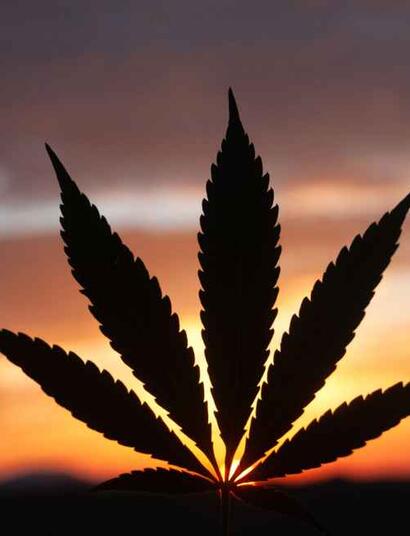 Indoors or Out? – Where Do You Prefer?