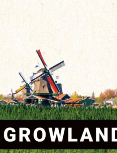 Growlands : la première foire cannabique aux Pays-Bas depuis 13 ans