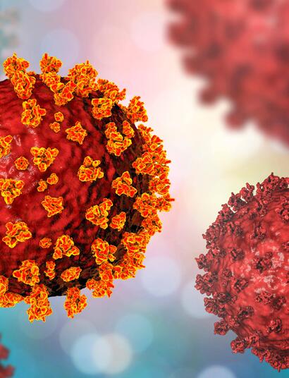 Etude : les consommateurs de cannabis moins impactés par le Covid 