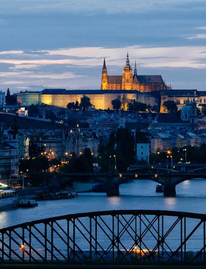 Czech President pardons those convicted of growing cannabis.