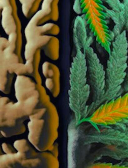Czy sami produkujemy kannabinoidy antystresowe?
