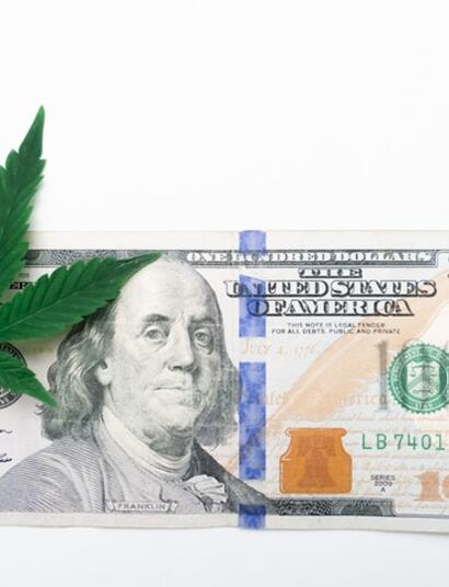 bill and leaf