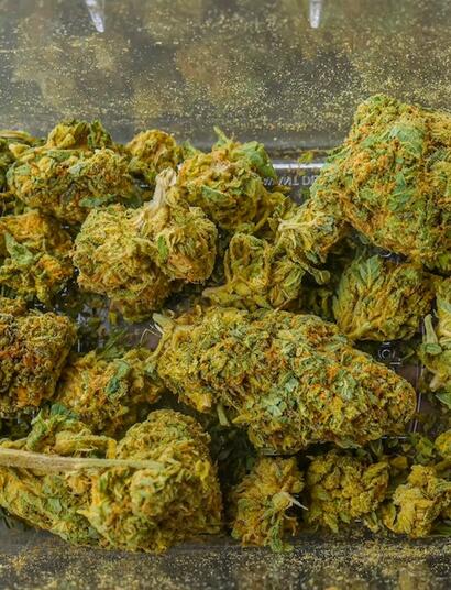 Descarboxilar marihuana permite que los cannabinoides desplieguen su potencial.