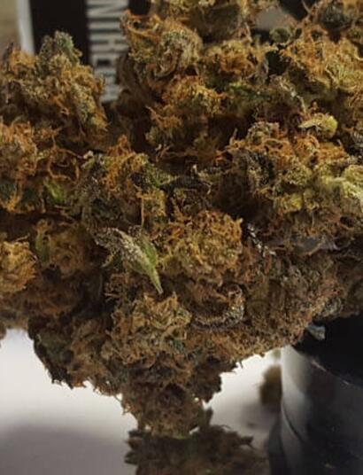 Dinamed: llegan las CBD dominantes