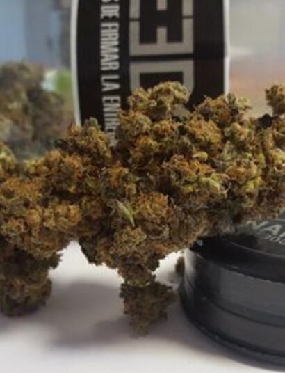 Nowotwory a alkohol i marihuana – nowe wyniki badań