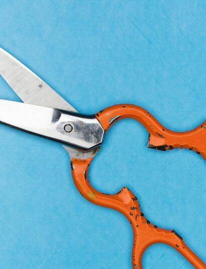 Domina el difícil arte del injerto