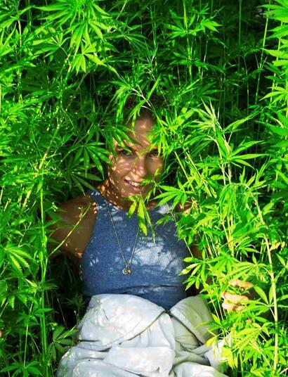 Dordrecht teelt vezelhennep