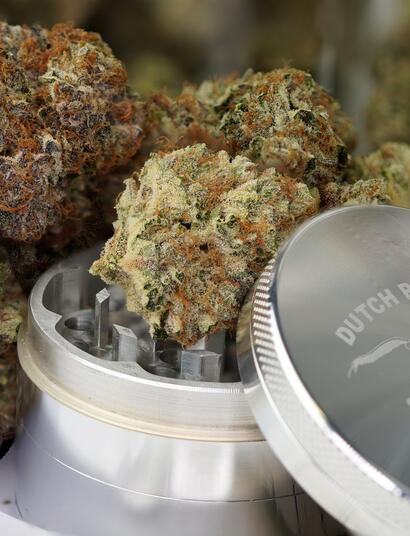 Catching Up with Dutch Passion