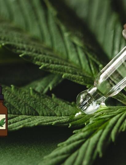 Jednym z najważniejszych czynników, które stanowią o jakości jest forma ekstrakcji jaka została zastosowana.