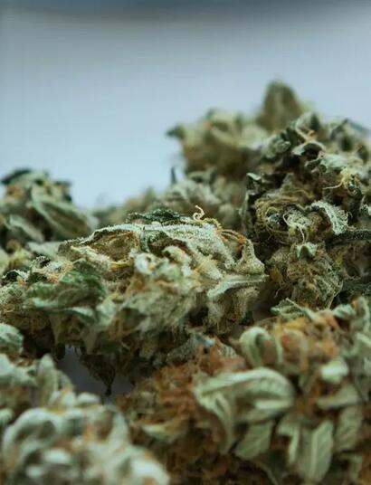 Elton John hält die Cannabis-Legalisierung für einen Fehler