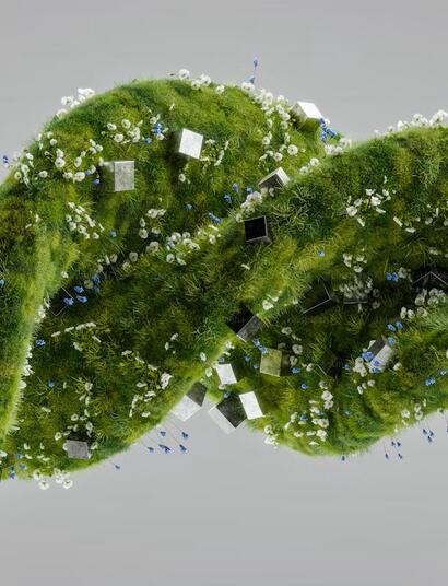 Epigenetica, cellule, dna