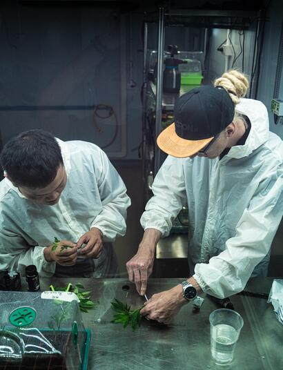 Episodio, 6, perfect grow