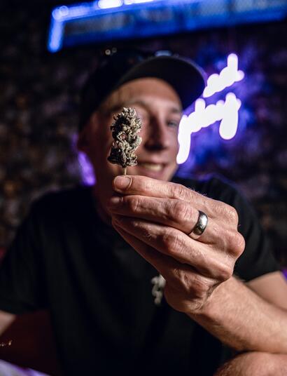 The Perfect Grow: Respuestas a las Preguntas Frecuentes 