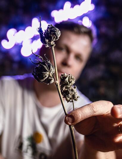 The Perfect Grow S2 E8 : le trimming et le curing