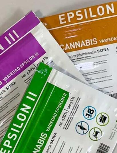 Uruguay : une variété avec 20 % de THC est maintenant disponible