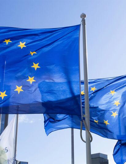 Die Europäische Kommission will in Teilen Europas Hanfblüten ab 2027 als landwirtschaftliches Produkt einstufen.