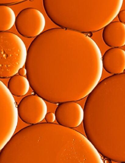 Téléchargez le rapport sur les extractions des Prohibition Partners