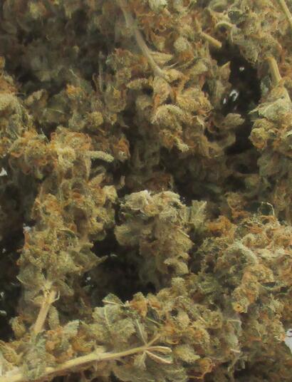 Cannabis médical : les fleurs ne seront plus remboursées en Allemagne