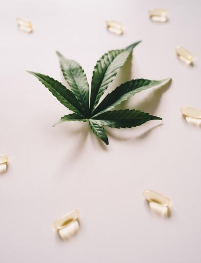 leaf and pills