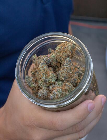 German Medical Cannabis Sales may Top €420 million 