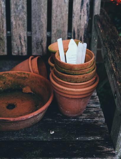 When it comes to growing plants indoors, there is a wide selection of substrate media to choose from. This guide compares some of the most popular options 